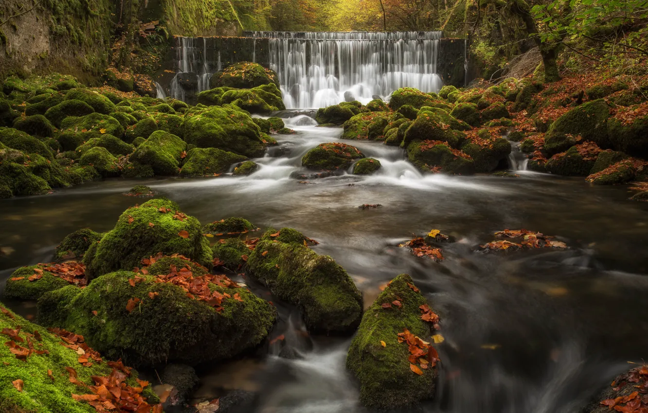 Photo wallpaper autumn, leaves, river, stones, waterfall, moss, Switzerland, cascade