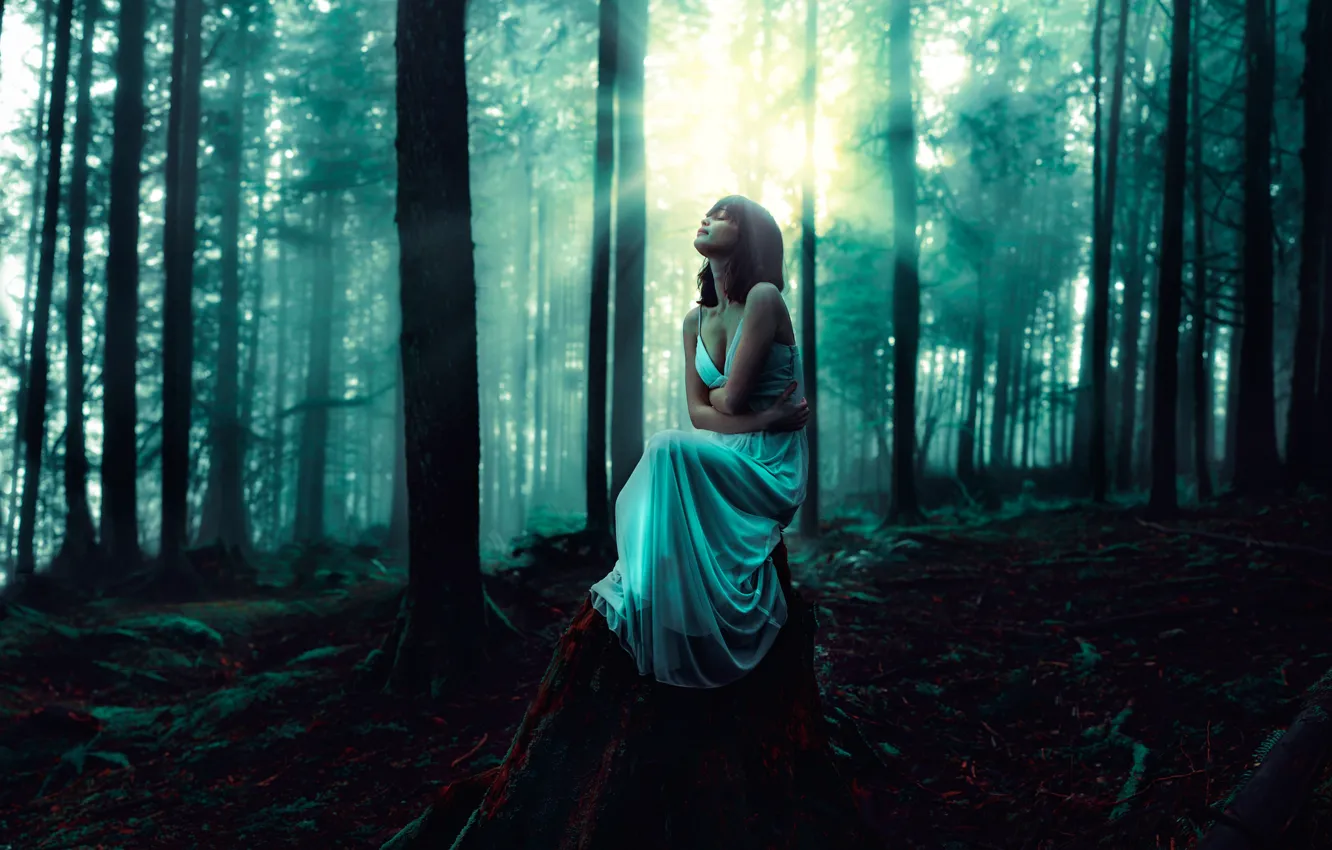 Photo wallpaper girl, dress, lighting, in the woods, the whispering woods