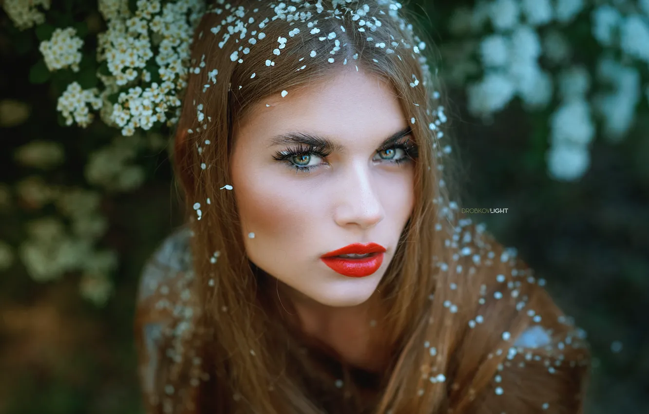 Photo wallpaper look, girl, face, hair, portrait, petals, sponge, red lipstick
