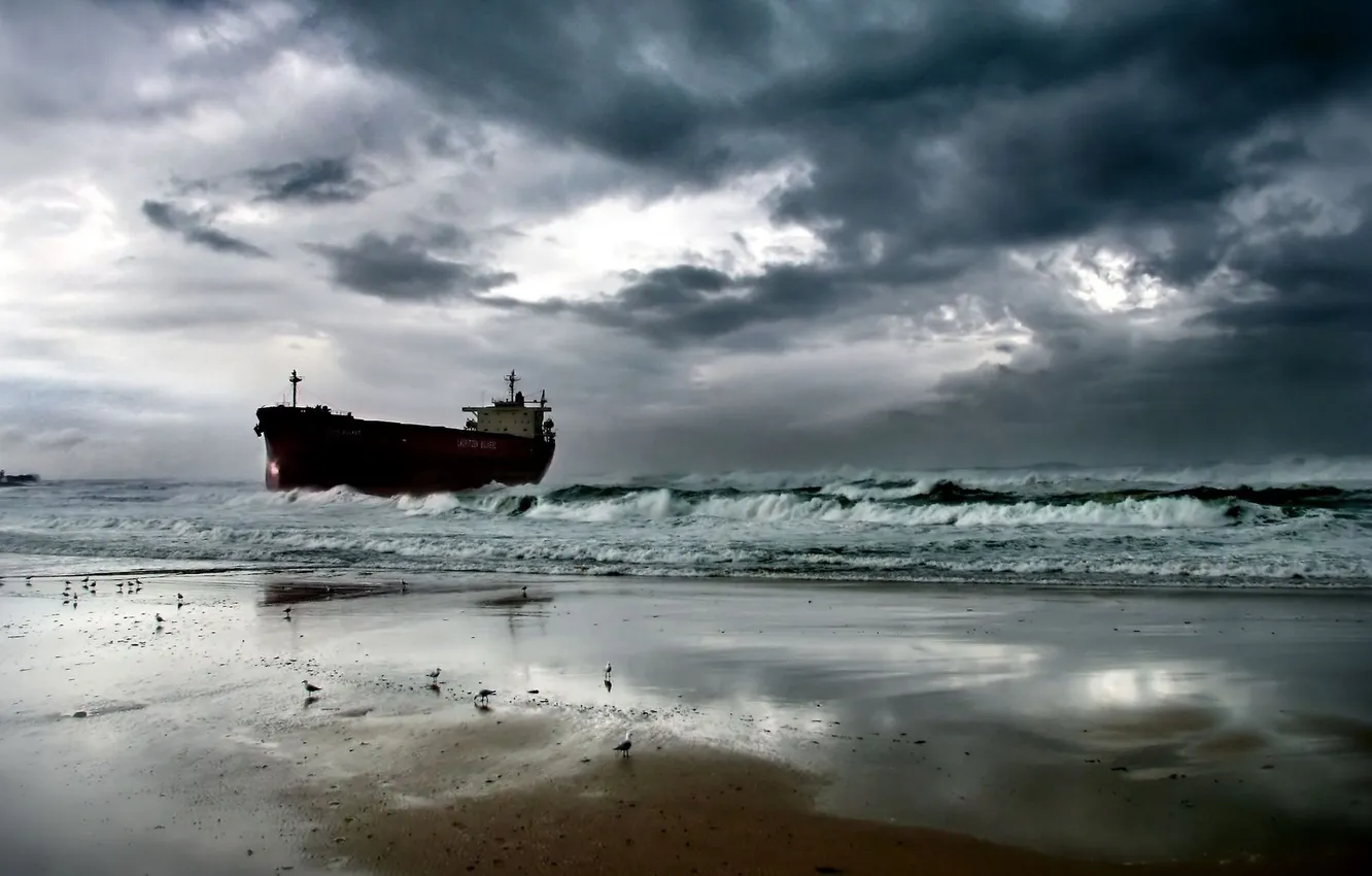 Photo wallpaper sand, water, bird, shore, The ship