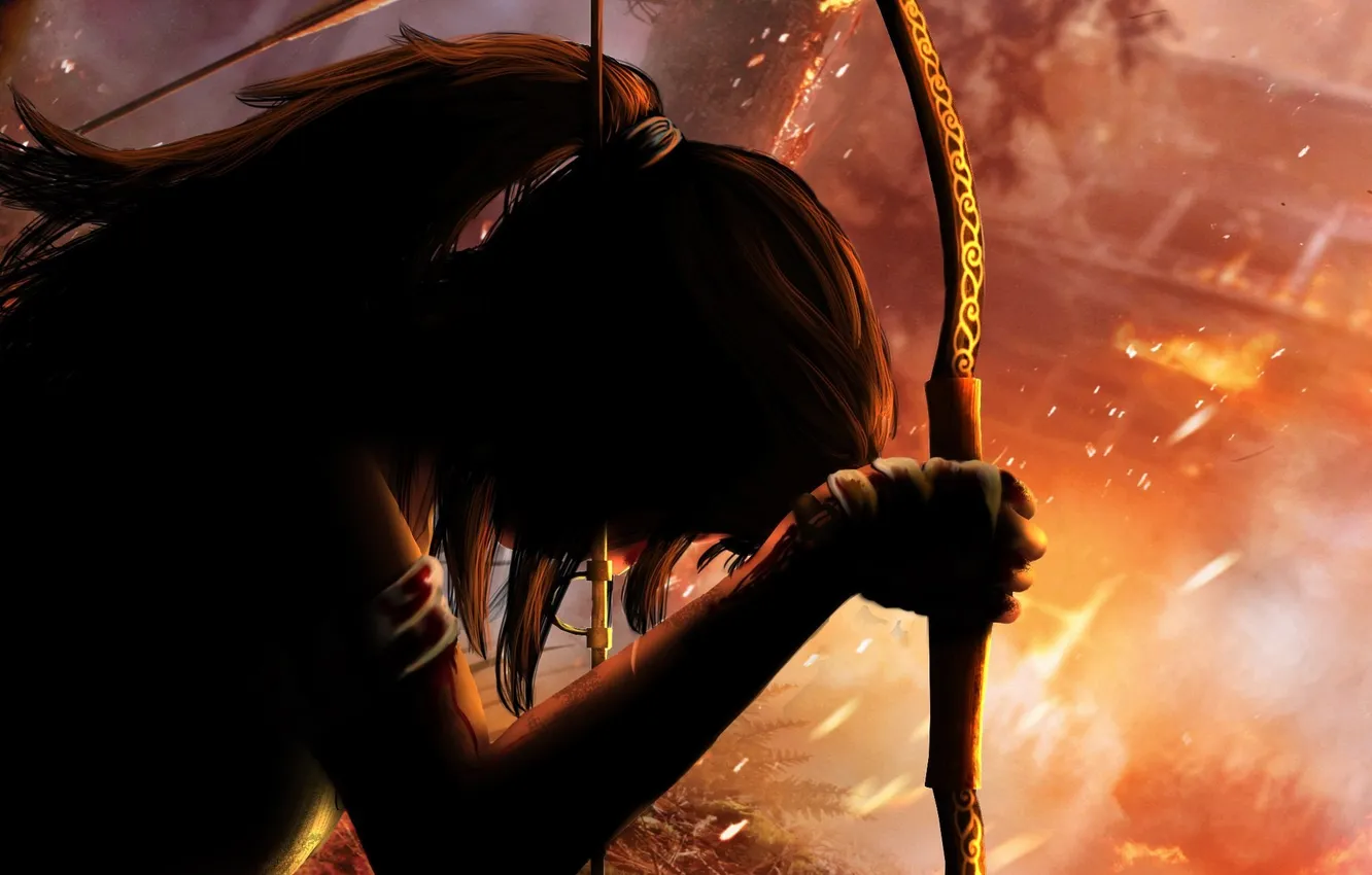 Photo wallpaper girl, hair, silhouette, bow, art, Tomb Raider, arrows, Lara Croft
