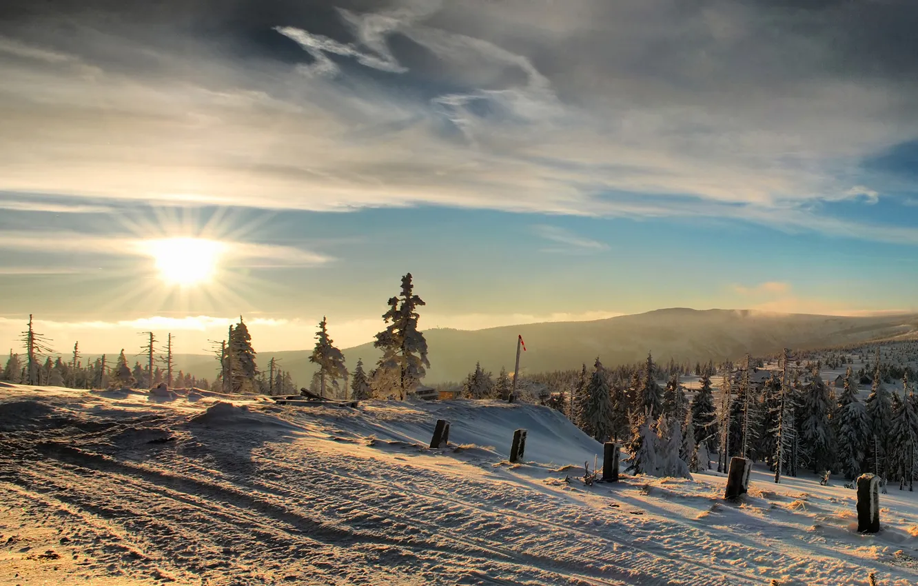 Photo wallpaper winter, forest, the sun, mountains
