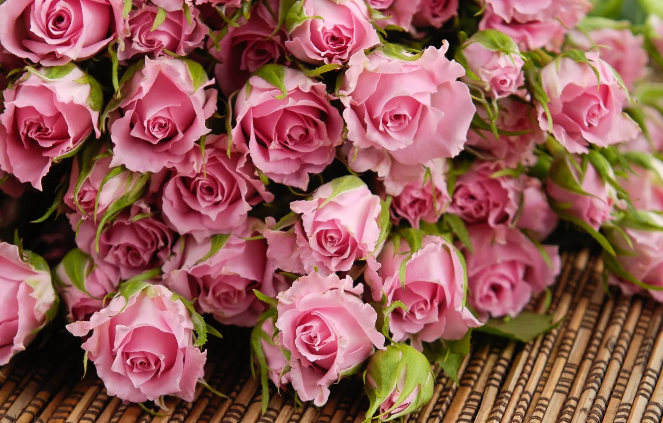 Photo wallpaper flowers, roses, bouquet, petals, pink, buds, Mat
