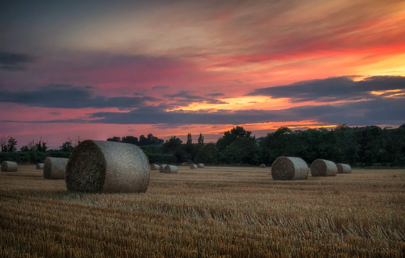 Photo wallpaper field, clouds, sunset, hay, bales, bales