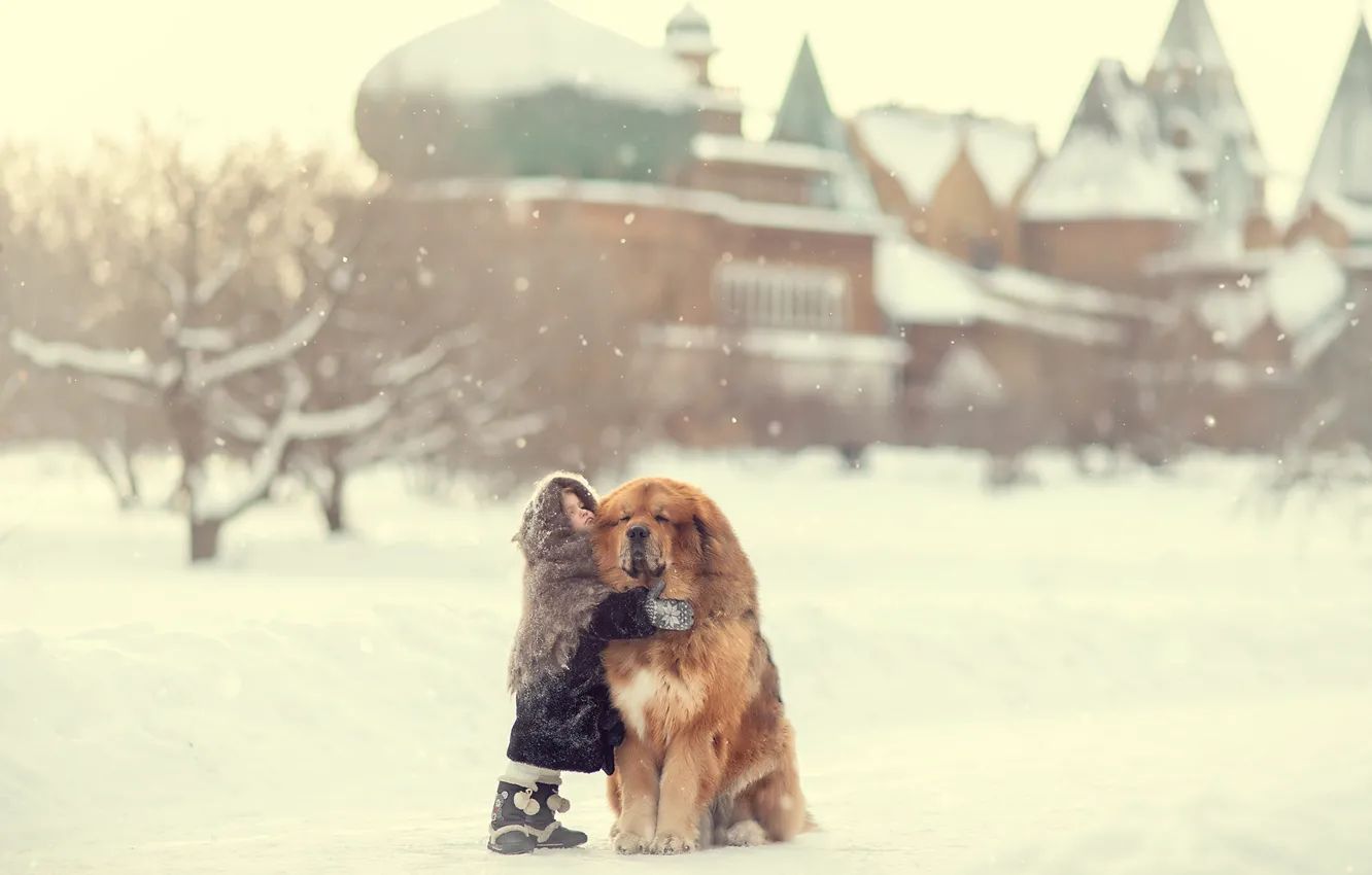 Photo wallpaper winter, snow, each, dog, girl, shawl, a great friend