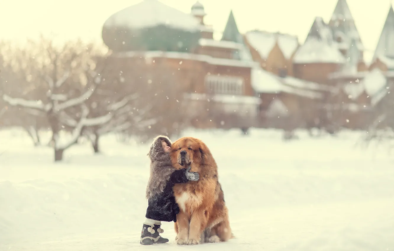 Photo wallpaper winter, snow, dog, girl, friends, shawl, a great friend