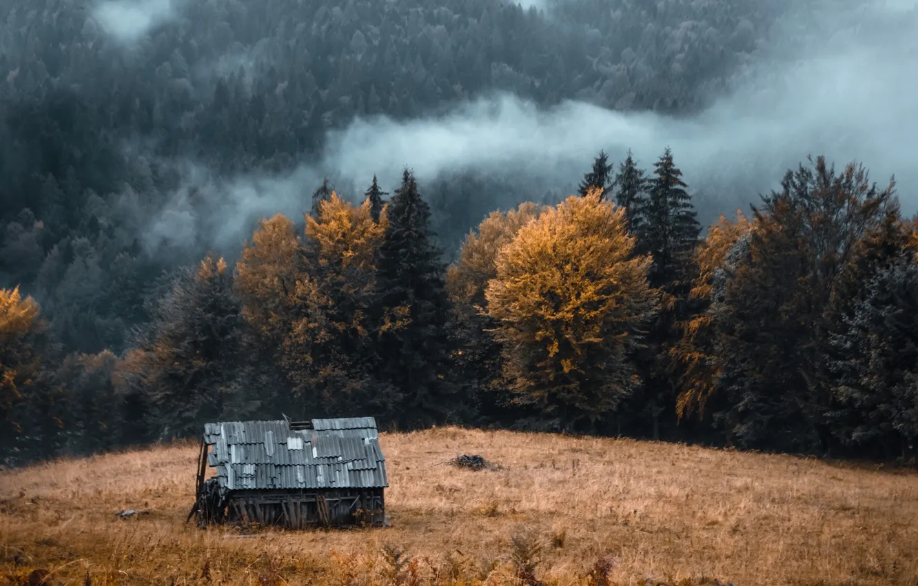 Photo wallpaper autumn, mountains, home