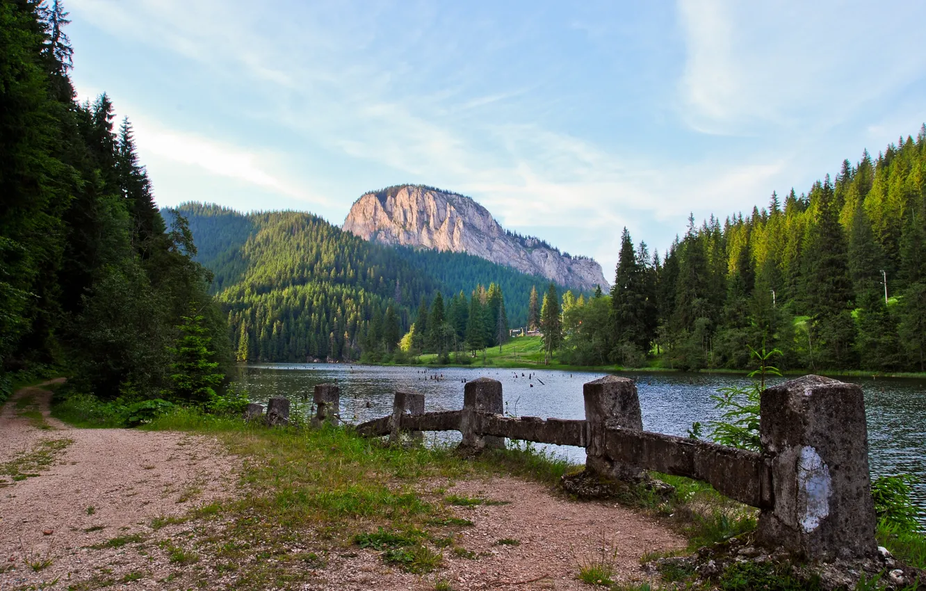 Photo wallpaper forest, mountains, river