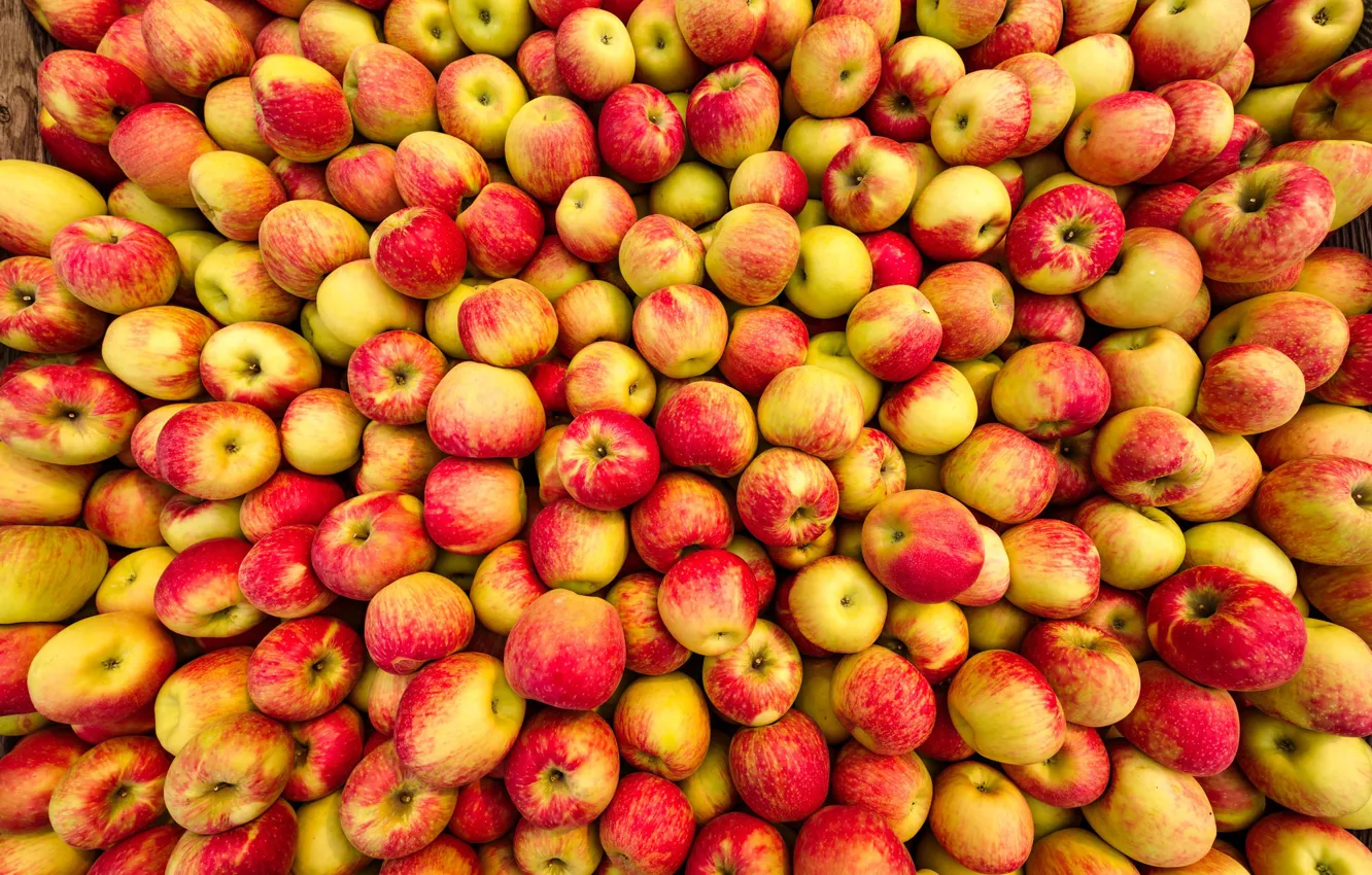 Photo wallpaper orange, yellow, red, apples, food, harvest, fruit, a lot