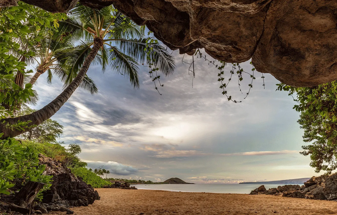 Photo wallpaper sea, beach, palm trees, photo, Hawaii