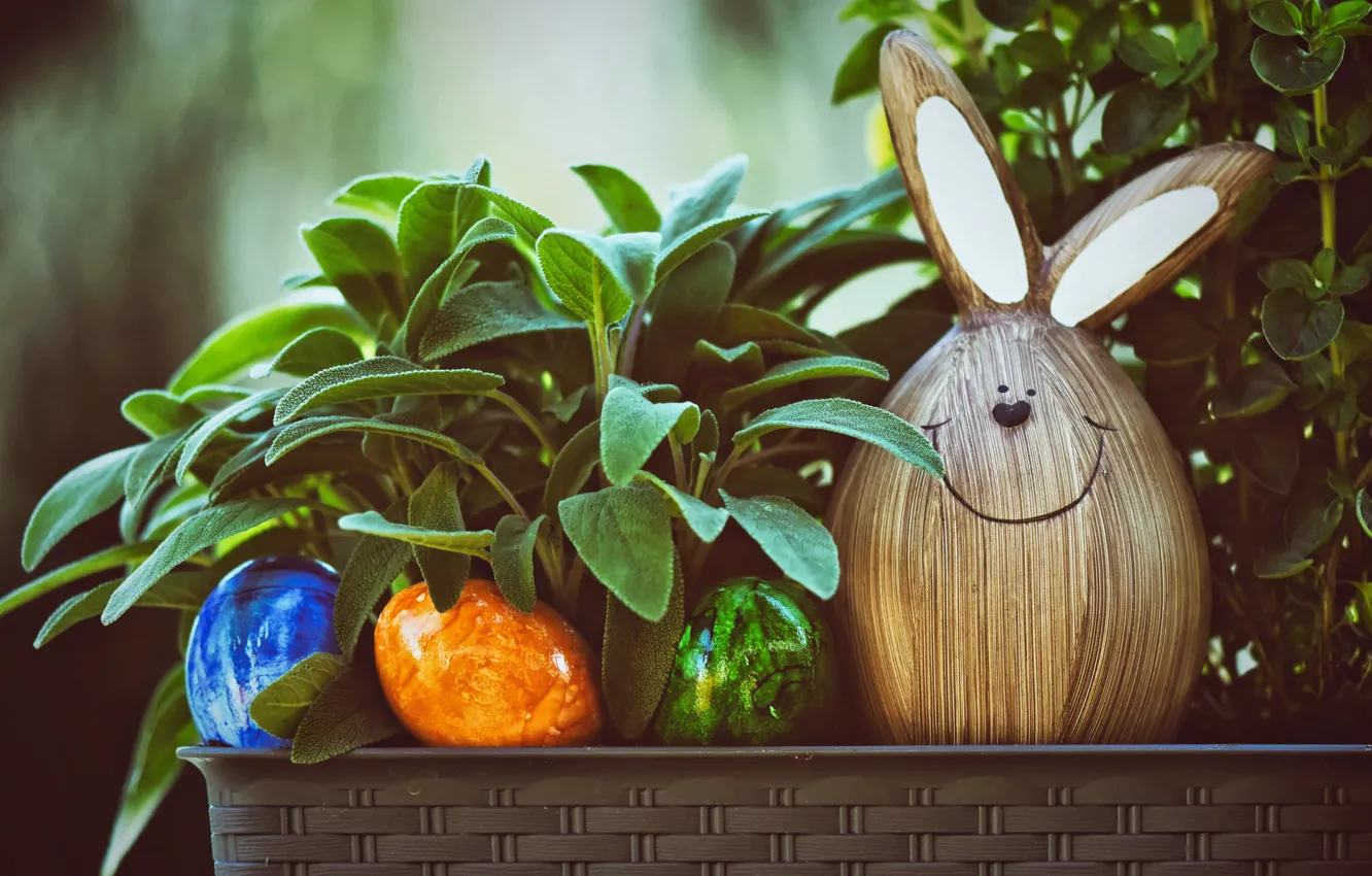 Photo wallpaper leaves, smile, holiday, toy, eggs, plants, spring, rabbit