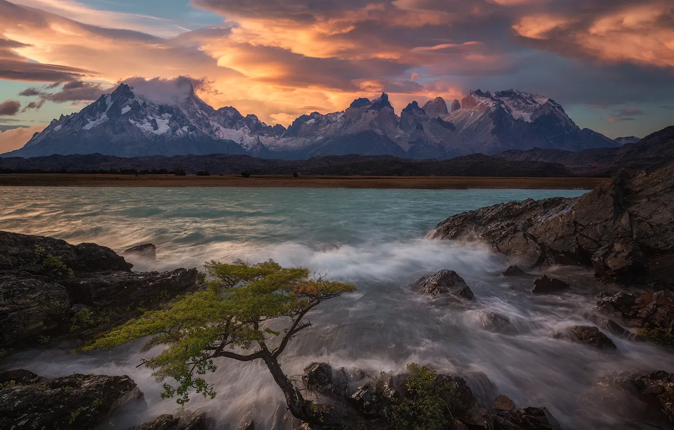 Photo wallpaper mountains, lake, tree, Chile, Chile, Patagonia, Patagonia, Lake Pehoe