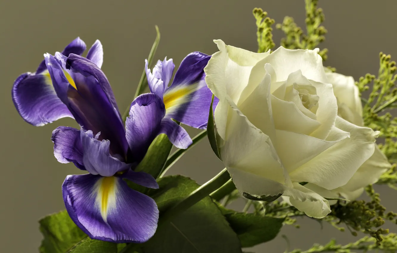 Photo wallpaper rose, bouquet, iris