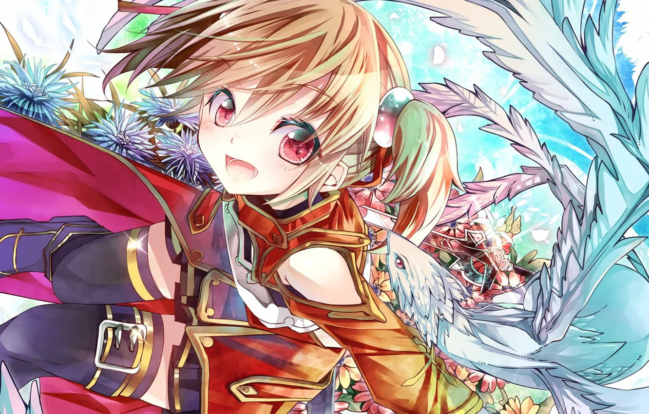 Photo wallpaper anime, art, sword art online, Silica, Pina