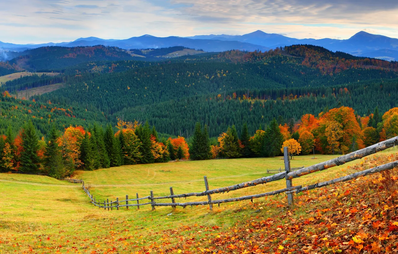 Photo wallpaper field, autumn, forest, mountains, foliage, the fence, dal, slope