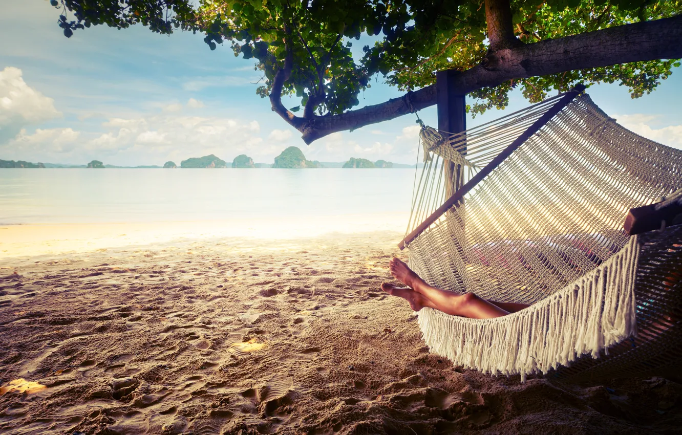 Photo wallpaper sand, hammock, resting, relaxing