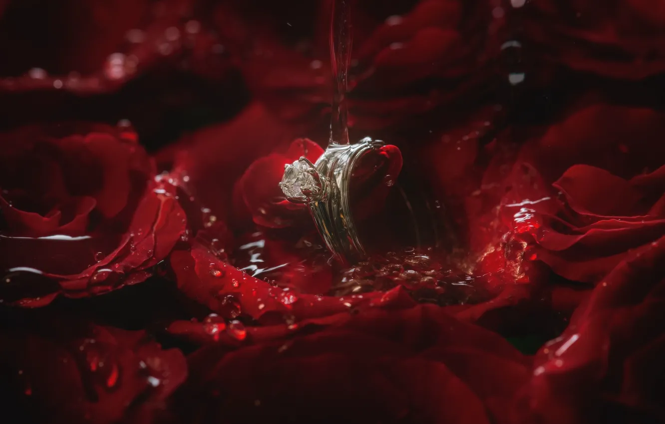 Photo wallpaper water, rose, petals, ring