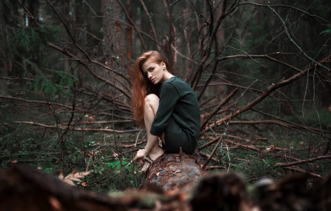 Photo wallpaper forest, girl, dress, Alexander Kurennoy
