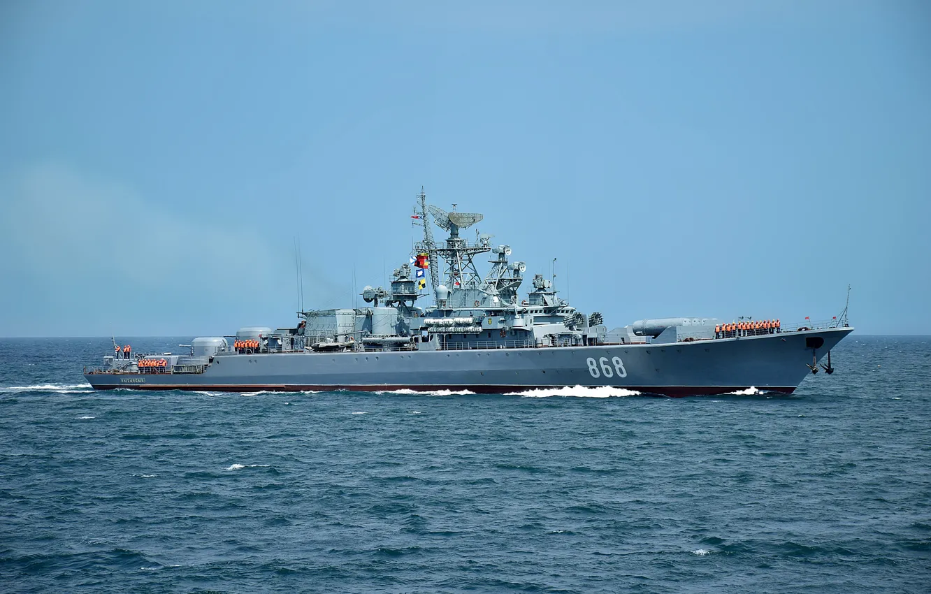 Photo wallpaper ship, guard, inquisitive