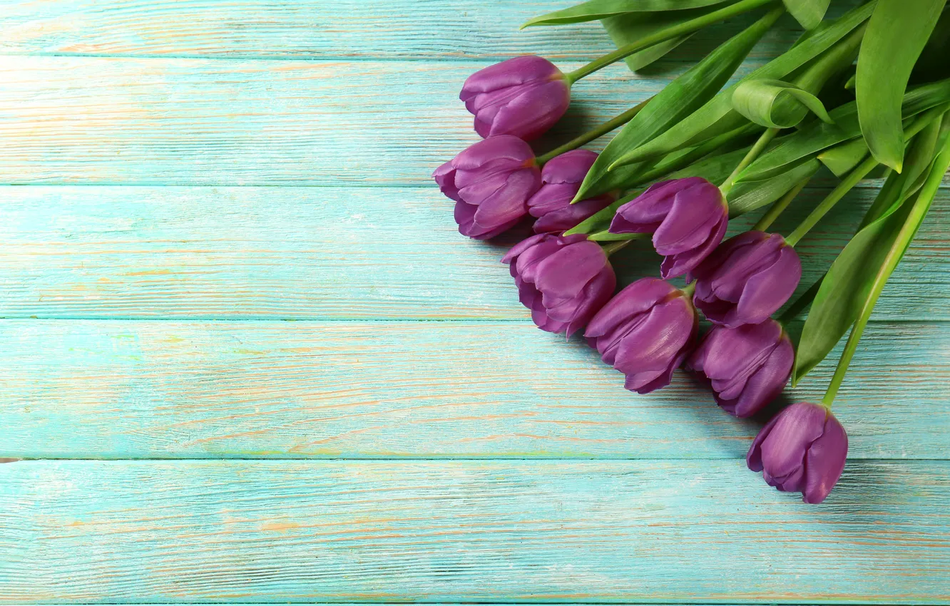 Photo wallpaper flowers, bouquet, tulips, wood, flowers, tulips, spring, purple