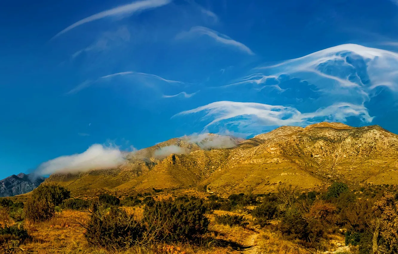 Photo wallpaper clouds, trees, landscape, mountains, USA, Texas, Guadalupe Mountains National Park