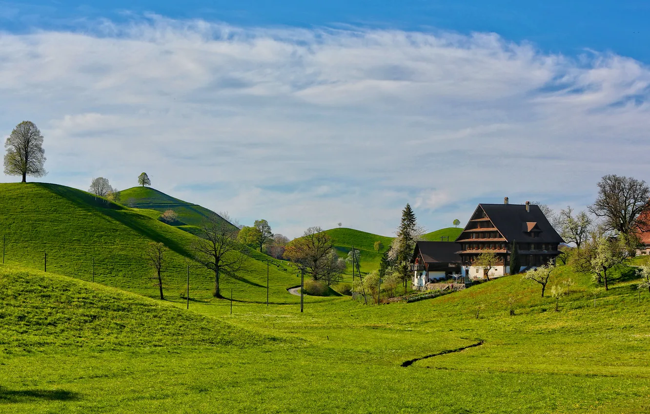 Photo wallpaper the sky, grass, clouds, trees, hills, home