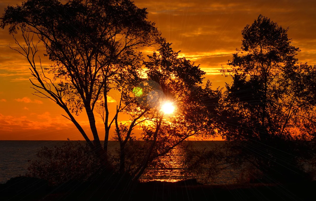 Photo wallpaper sea, the sky, clouds, trees, sunset, silhouette