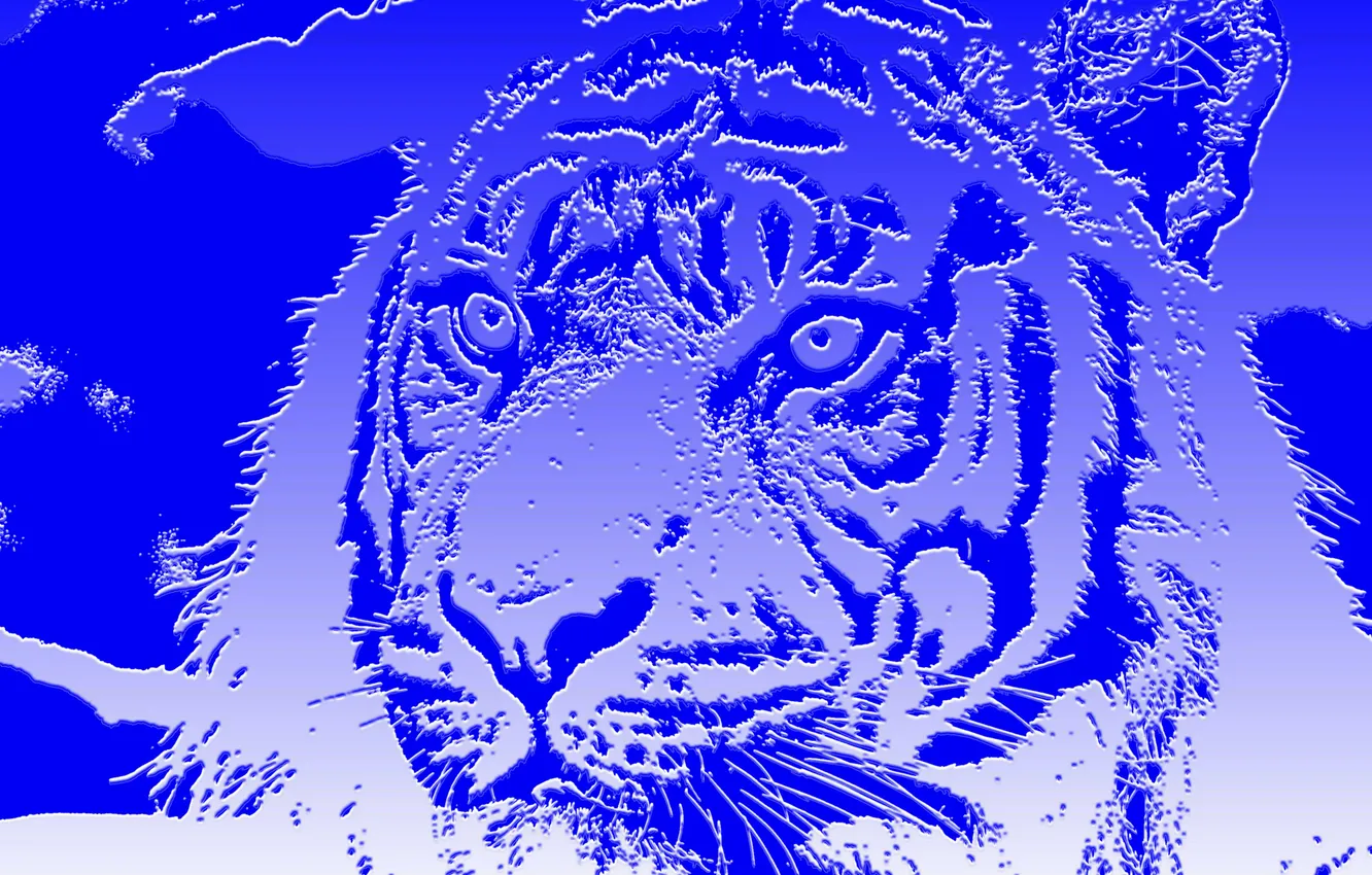 Photo wallpaper cat, abstraction, tiger
