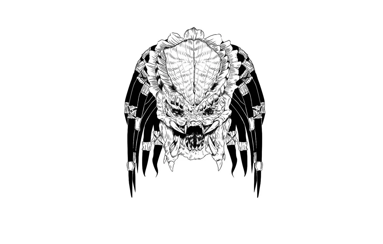 Photo wallpaper face, predator, being, thing
