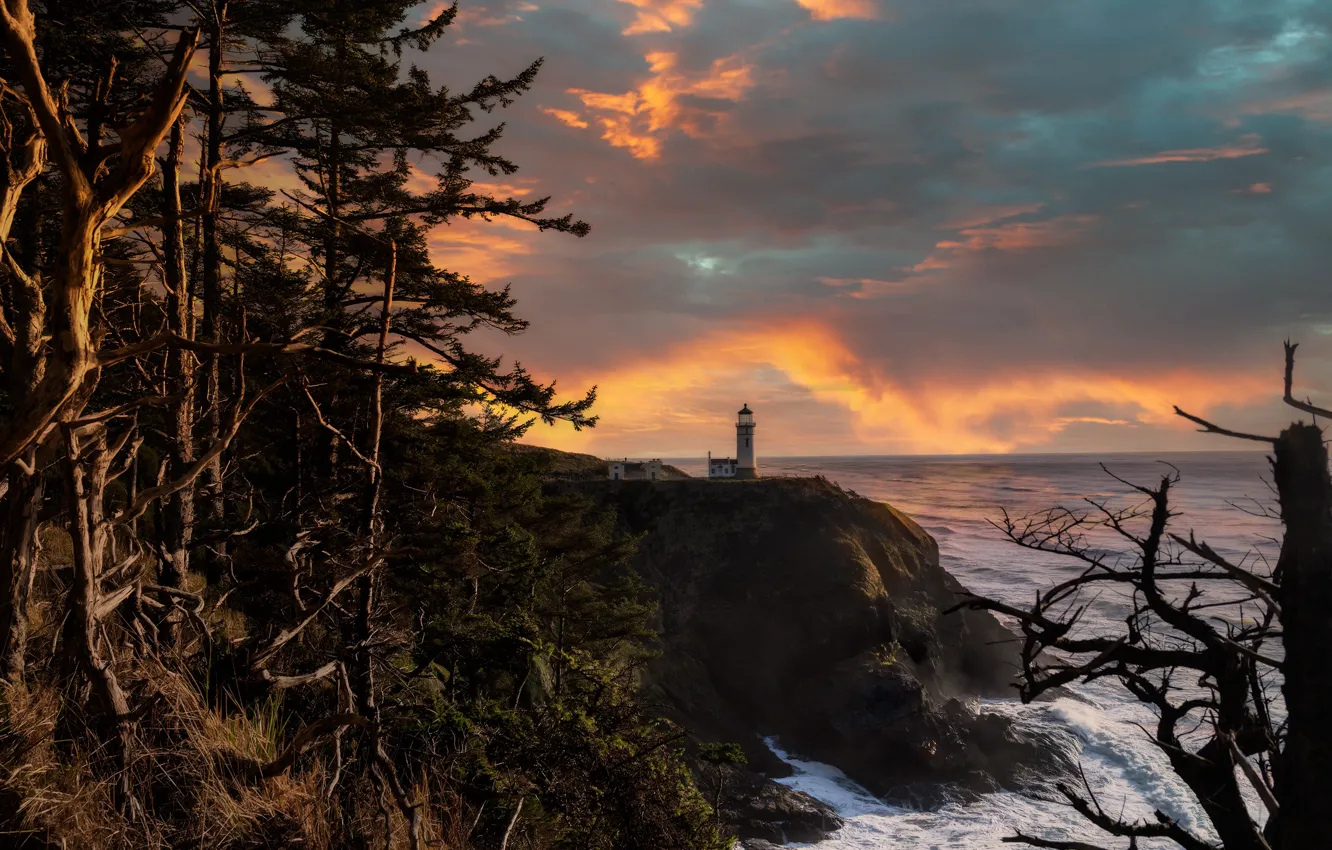 Photo wallpaper trees, landscape, sunset, nature, the ocean, rocks, lighthouse, USA