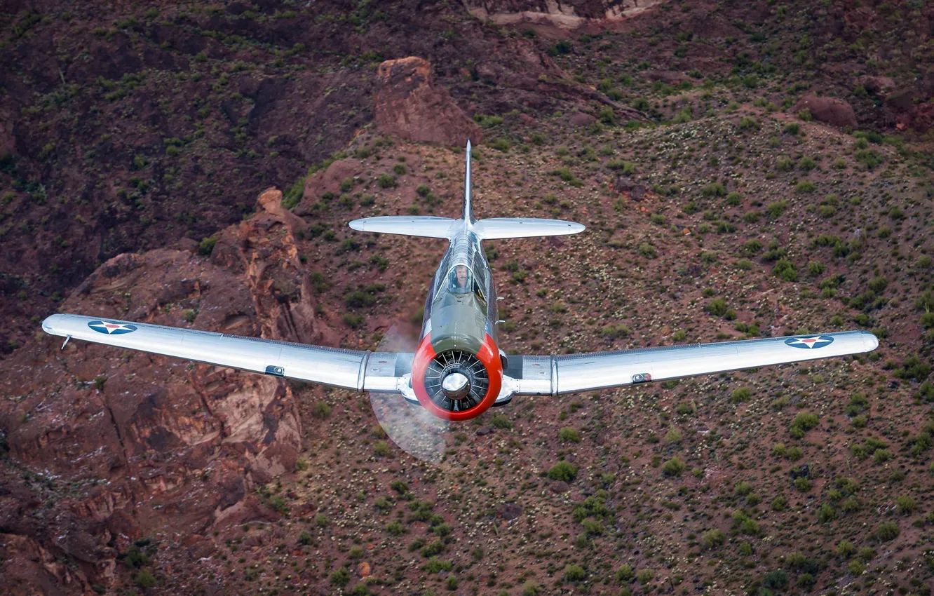 Photo wallpaper the plane, T-6, training, Texan II