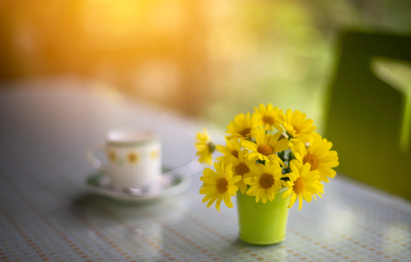 Photo wallpaper flowers, yellow, chamomile, bucket