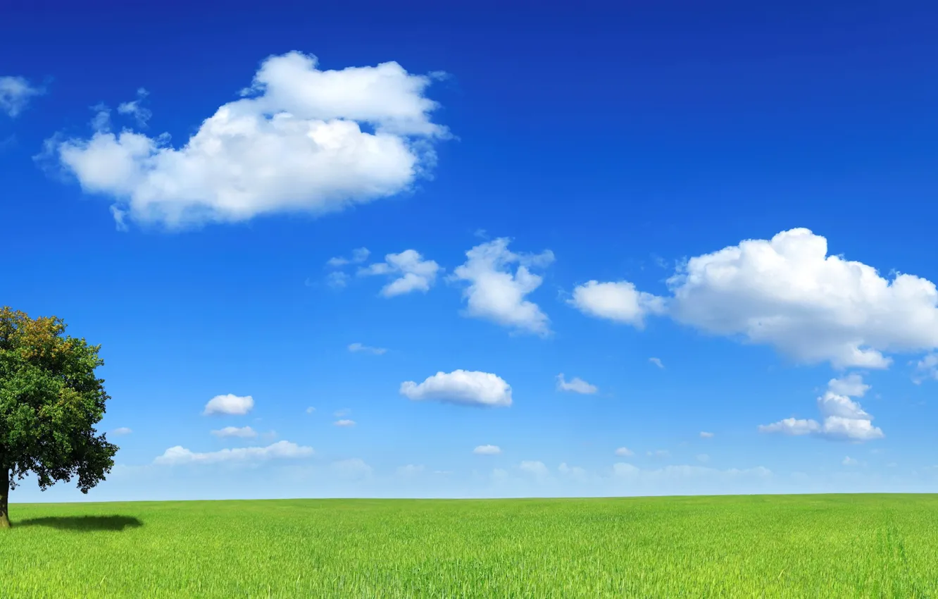 Photo wallpaper field, clouds, trees, horizon, 153