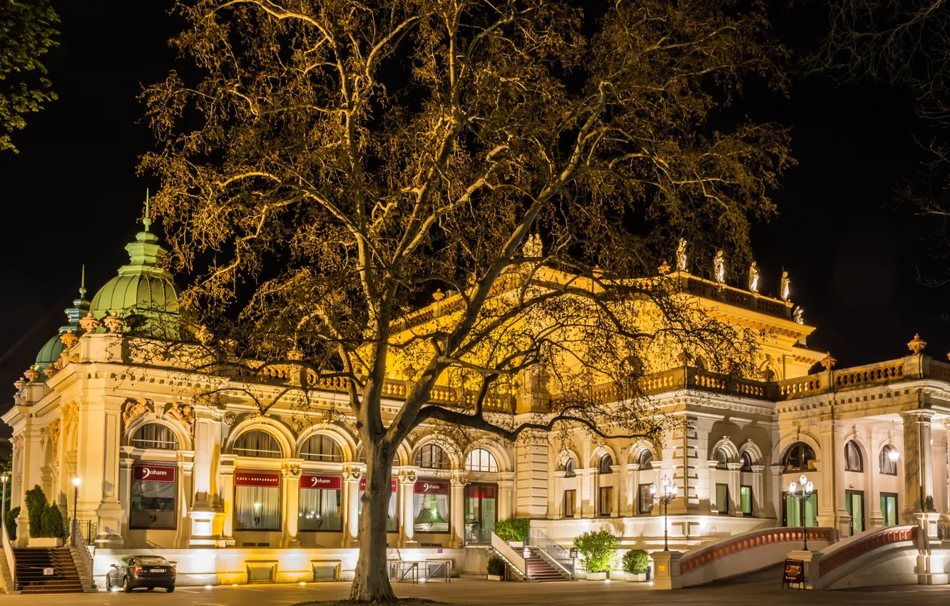 Photo wallpaper design, Vienna, lights, Palace, night, lights, area, Austria