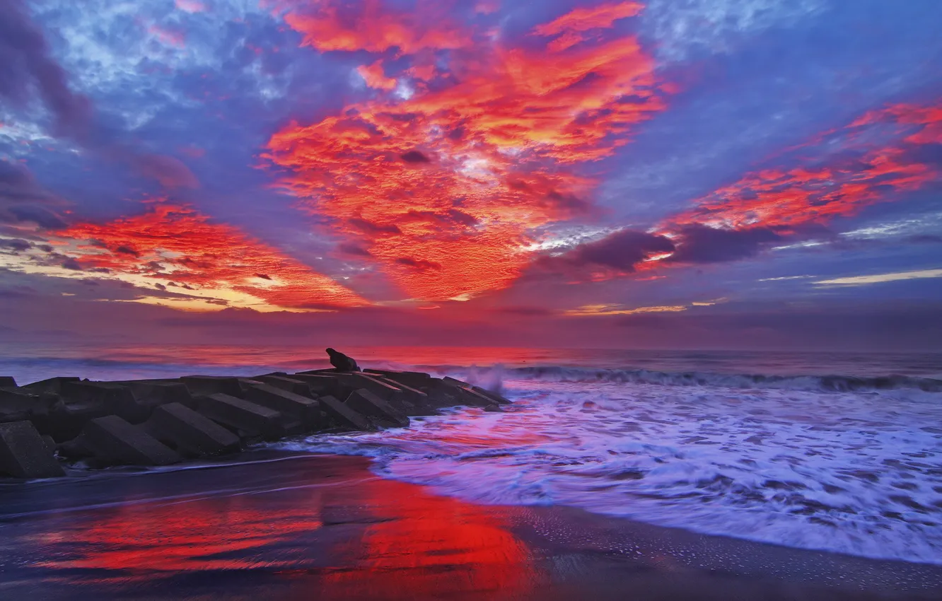Photo wallpaper sea, wave, beach, sunset, red, clouds