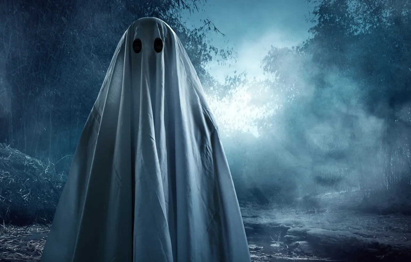 Photo wallpaper demon, forest, Ghost, devil, fog, death, fear, evil