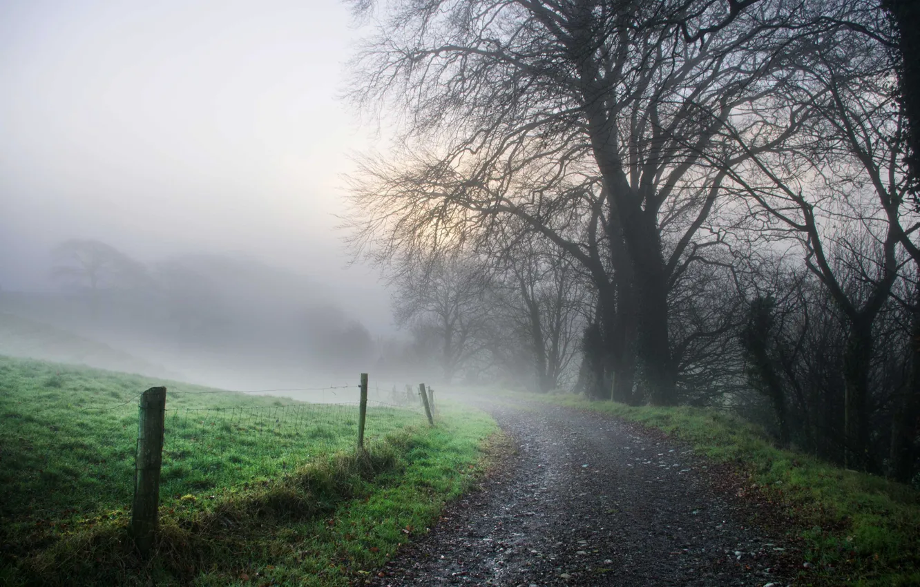 Photo wallpaper road, nature, fog