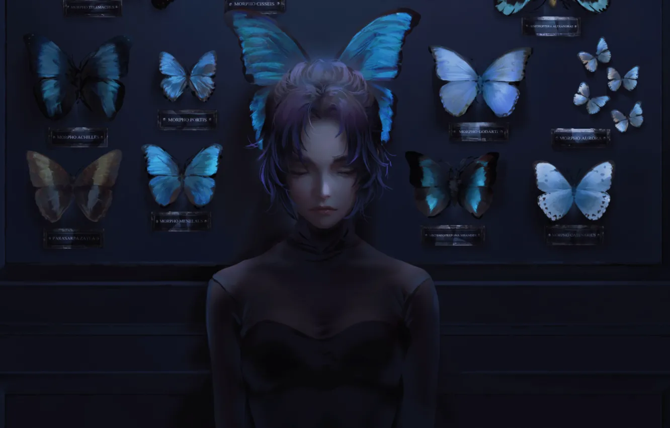 Photo wallpaper butterfly, loneliness, collection, closed eyes, in the dark, black clothes, the blade cleaves demons, Kochou …