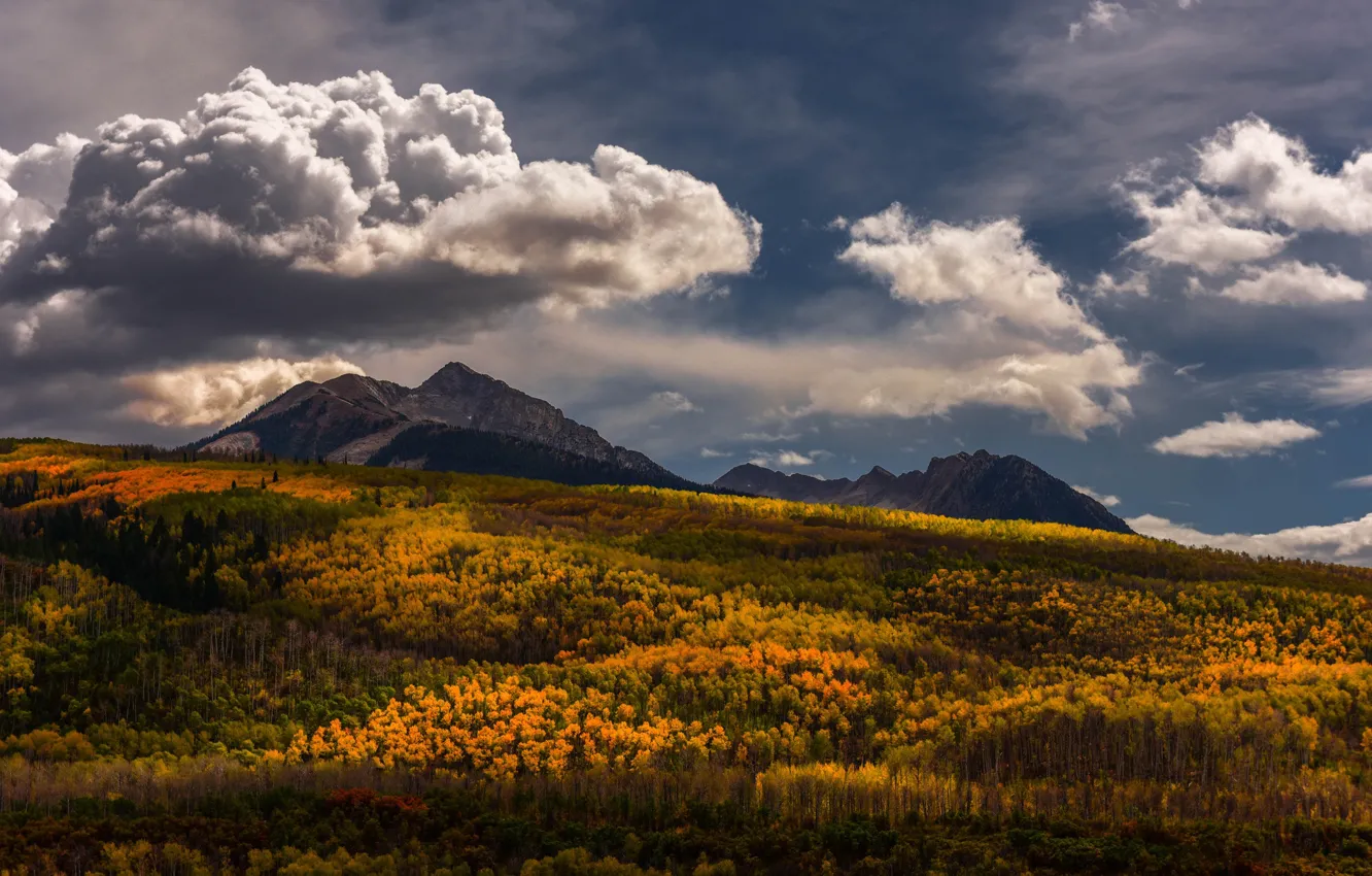 Photo wallpaper autumn, forest, the sky, clouds, trees, mountains, view, Golden autumn