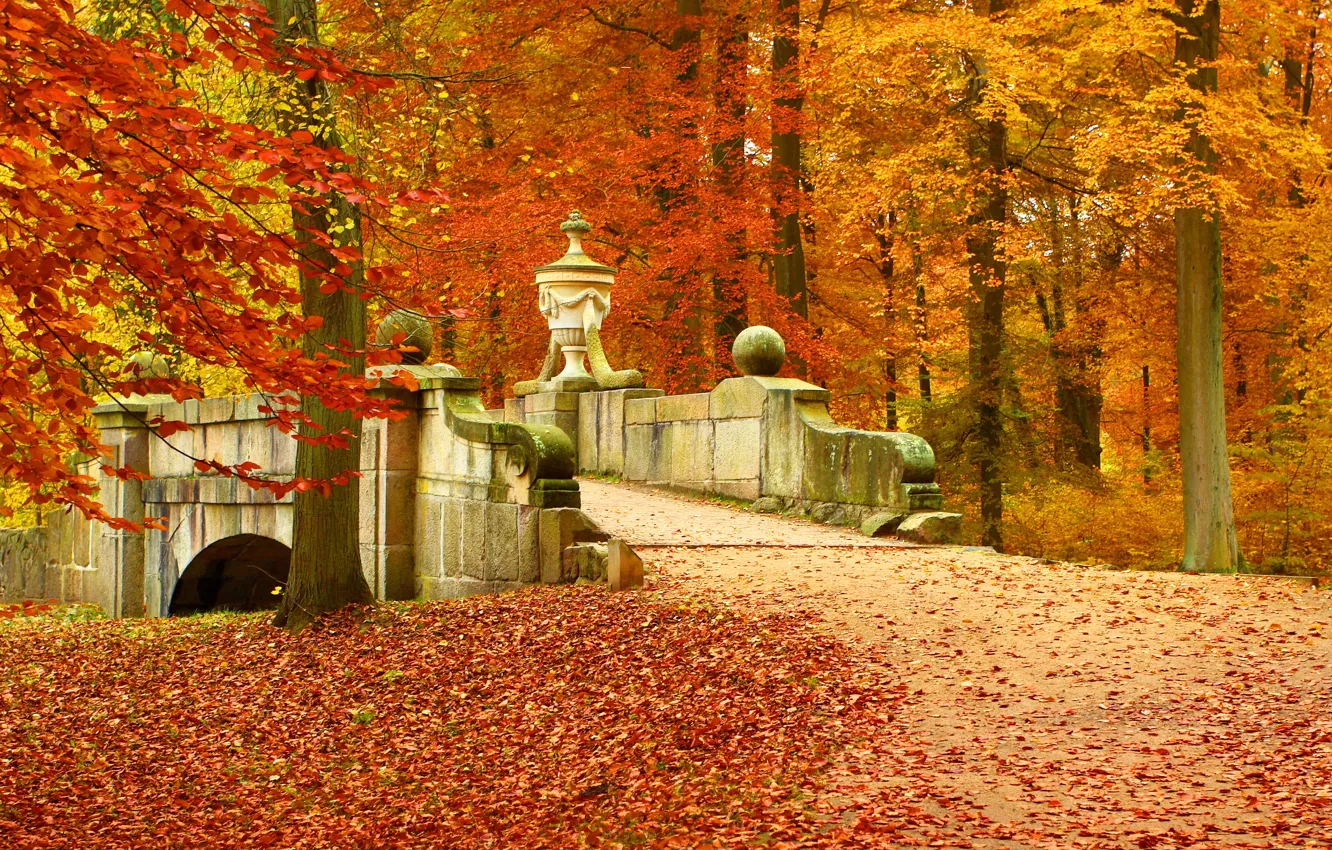 Photo wallpaper autumn, forest, leaves, trees, landscape, bridge, nature