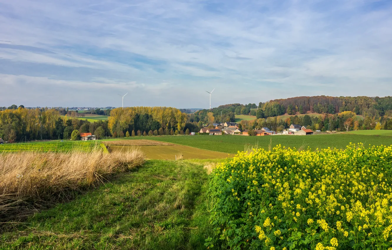 Photo wallpaper road, greens, field, autumn, forest, the sky, grass, clouds
