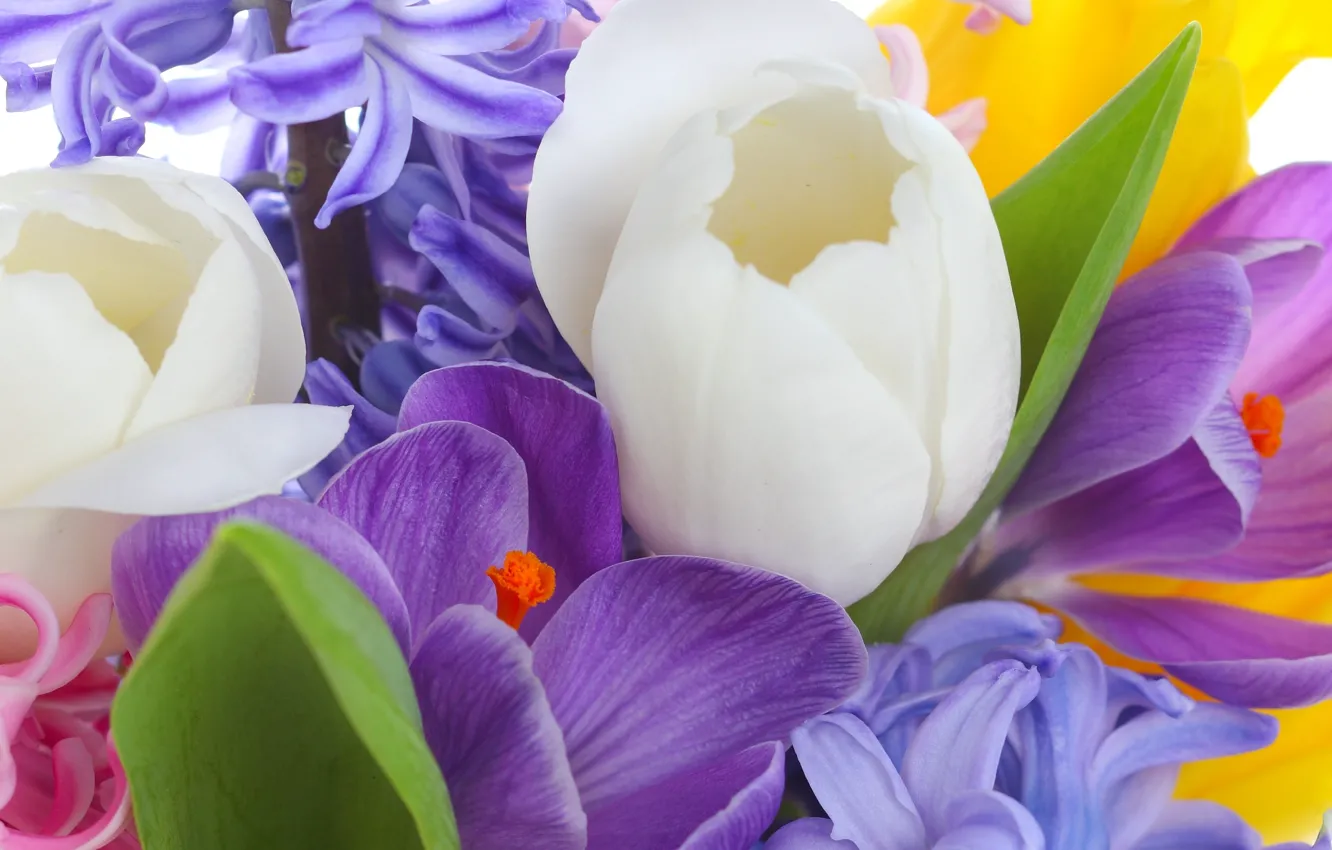 Photo wallpaper leaves, flowers, beauty, bouquet, petals, purple, crocuses, tulips