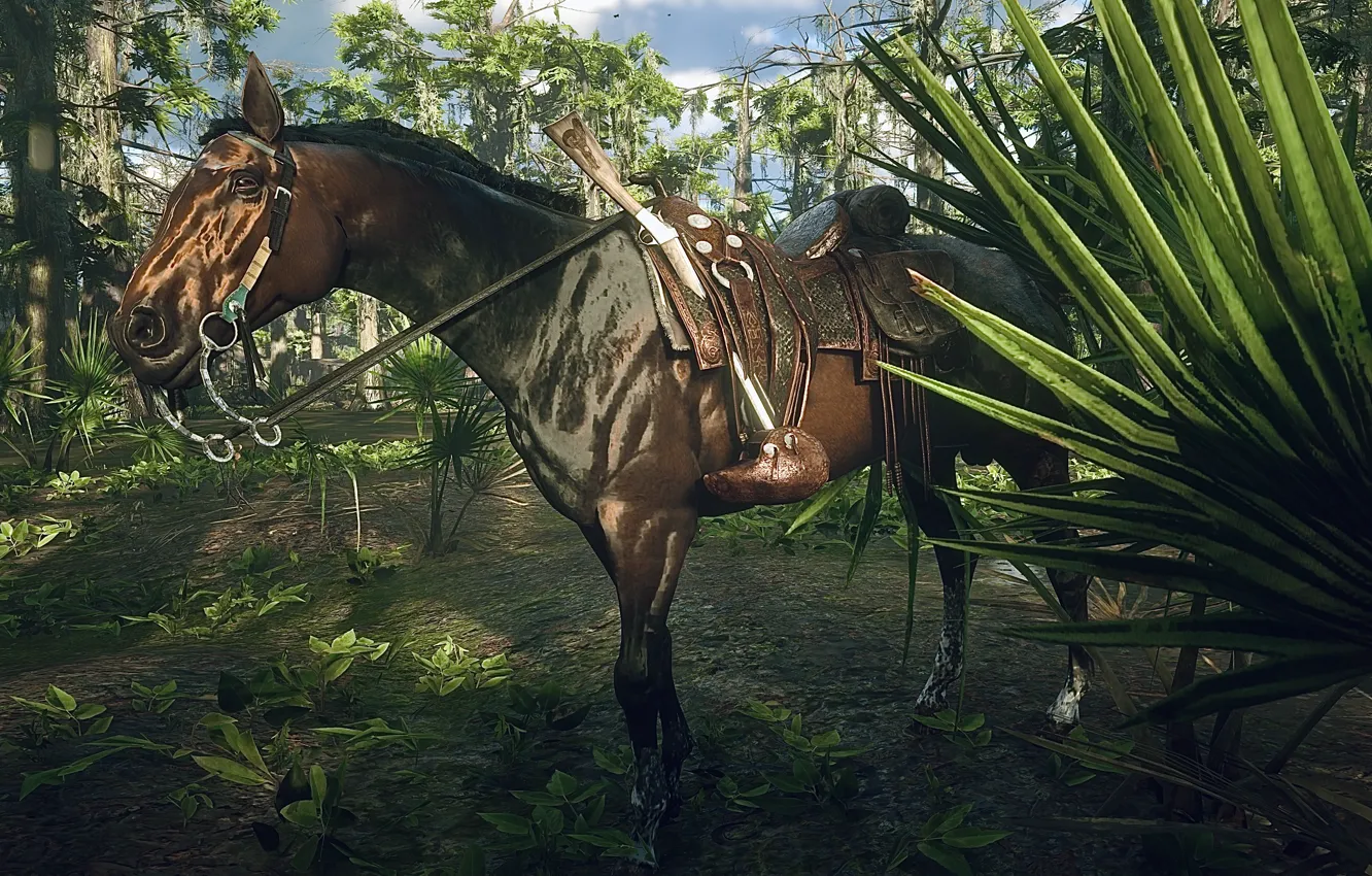 Photo wallpaper HDR, gun, game, wood, horse, plants, swamp, UHD