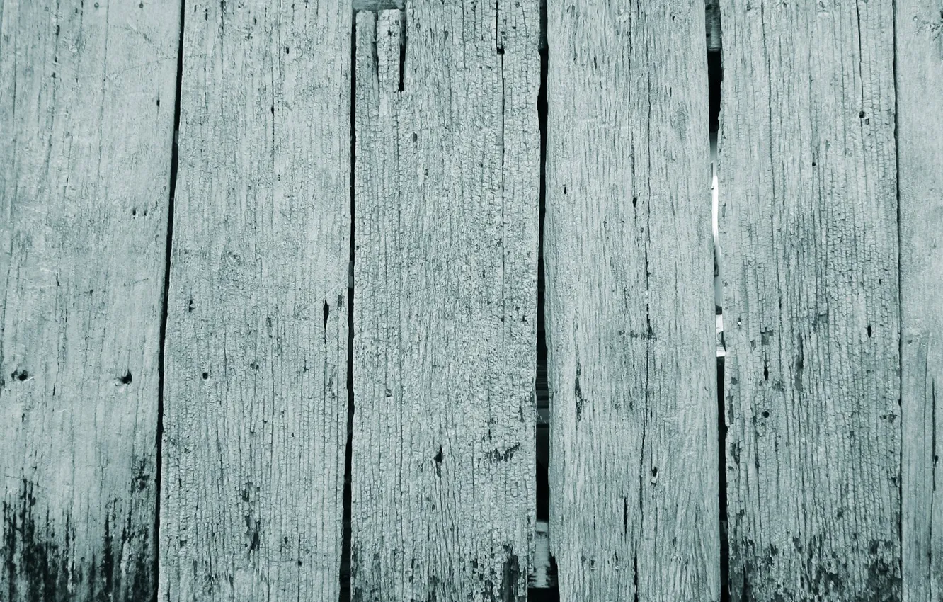 Photo wallpaper trees, Board, the fence, the gap