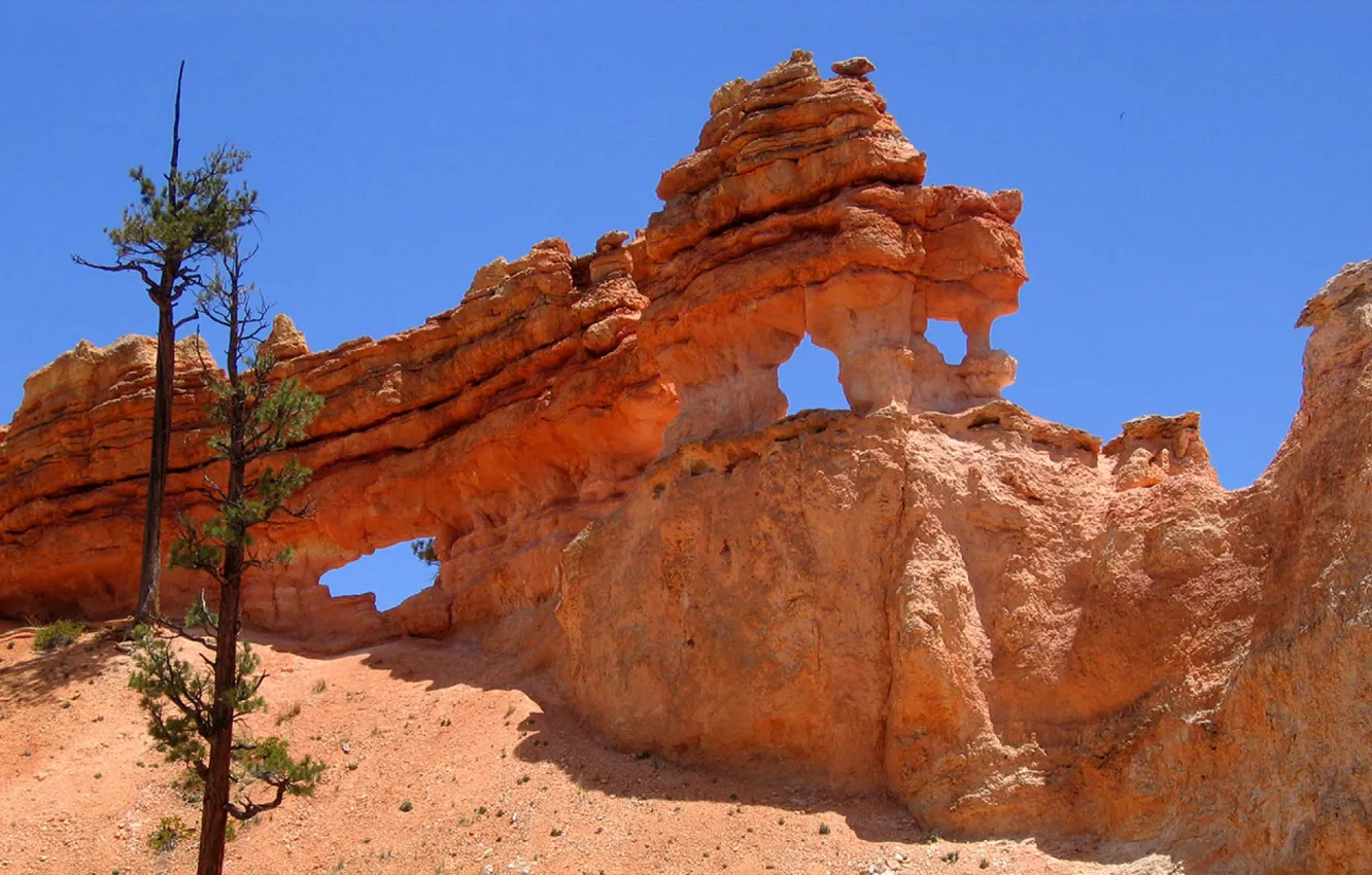 Photo wallpaper the sky, trees, rocks, Utah, USA, Bryce Canyon