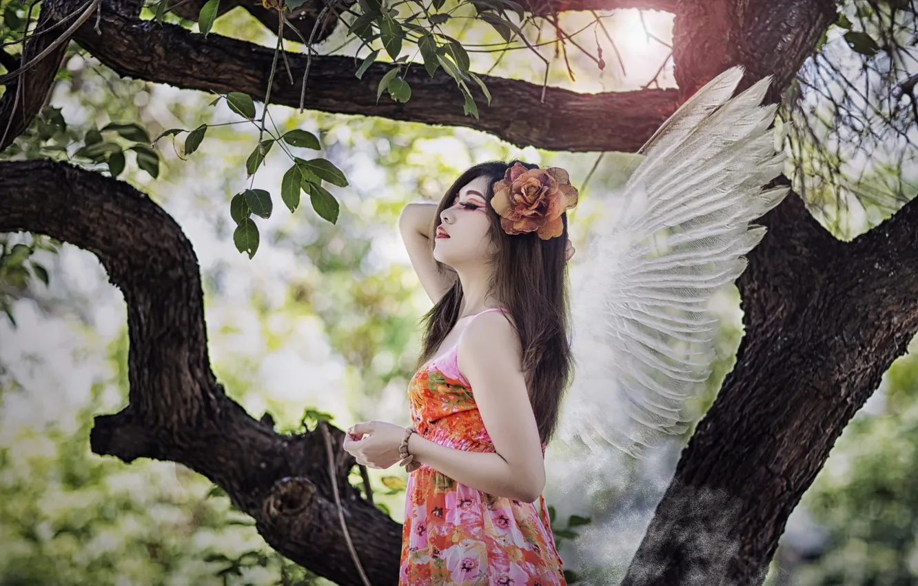 Photo wallpaper girl, angel, Asian
