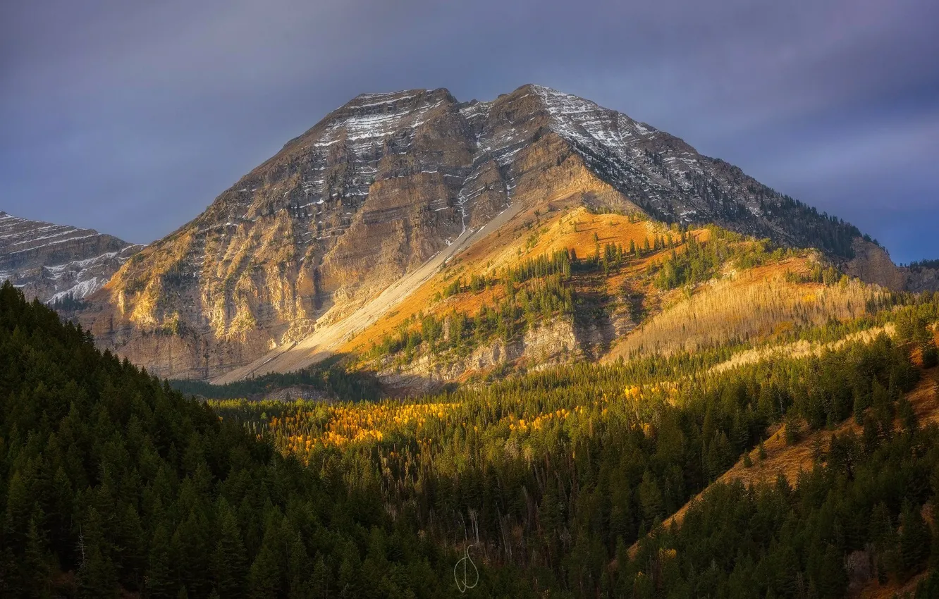 Photo wallpaper autumn, forest, the sky, mountains