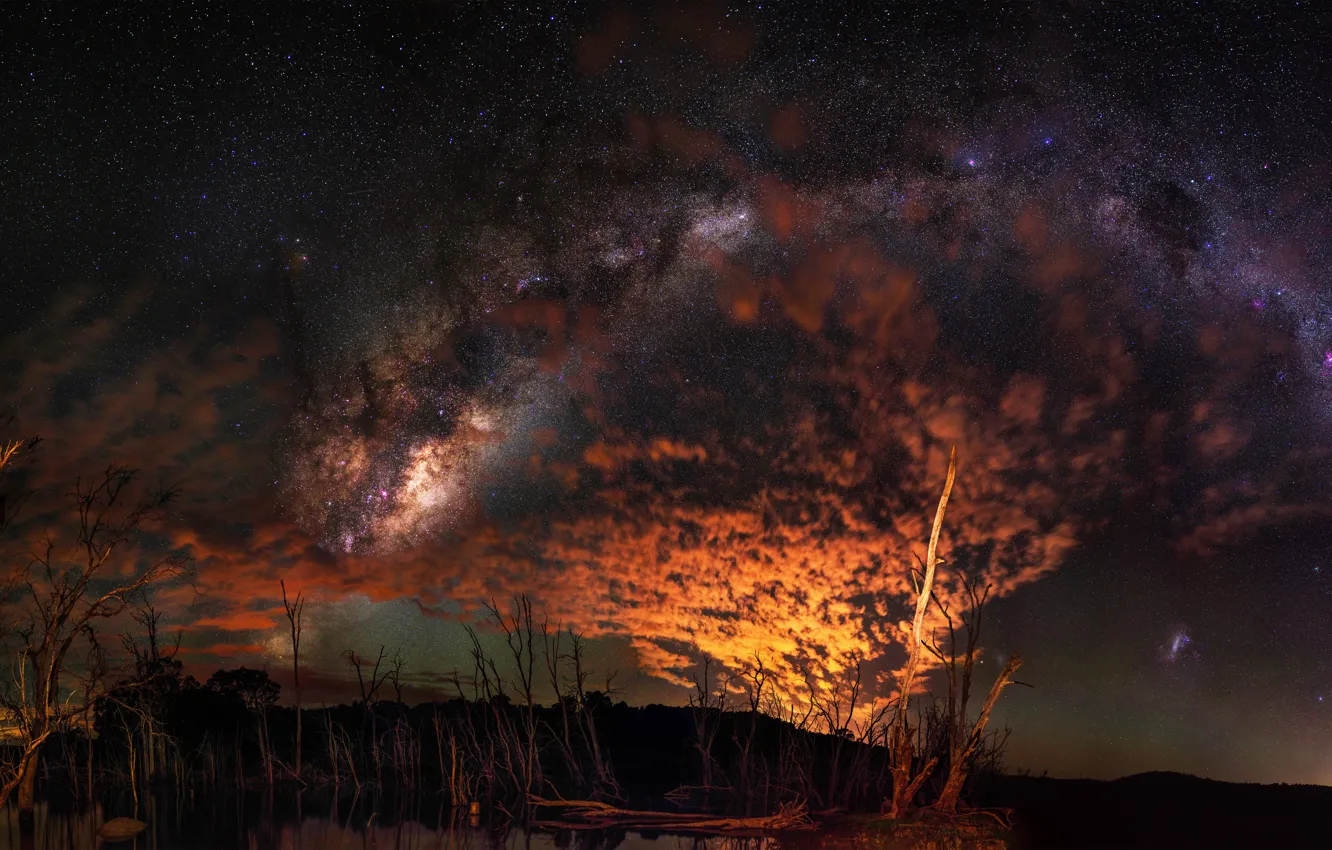 Photo wallpaper stars, clouds, light, trees, night, Australia, the milky way