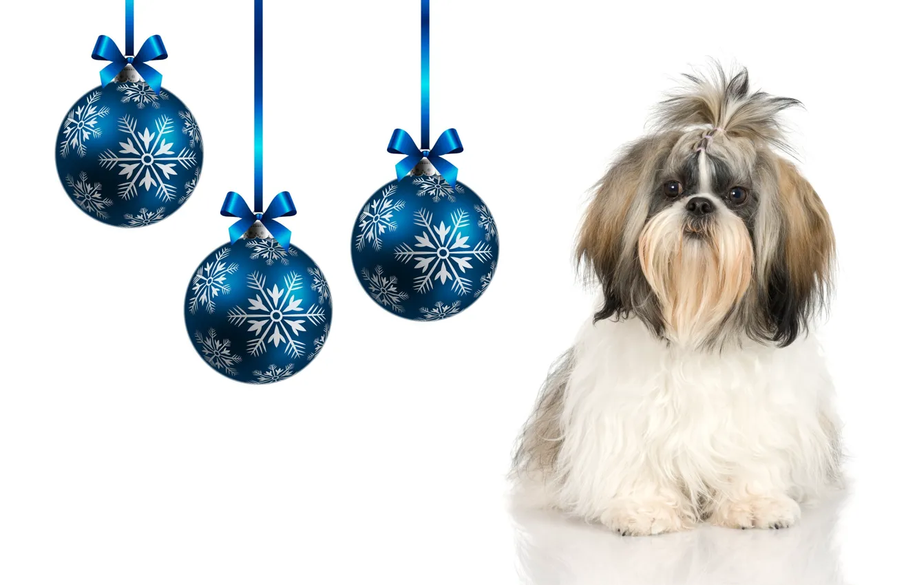 Photo wallpaper balls, holiday, dog, Christmas balls, the year of the Dog