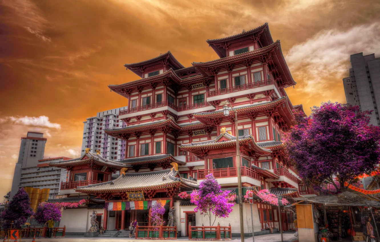 Photo wallpaper HDR, Sakura, Singapore, design, houses, Singapore